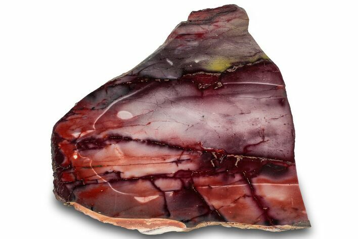 Vibrant Polished Mookaite Jasper Slab - Australia #314284